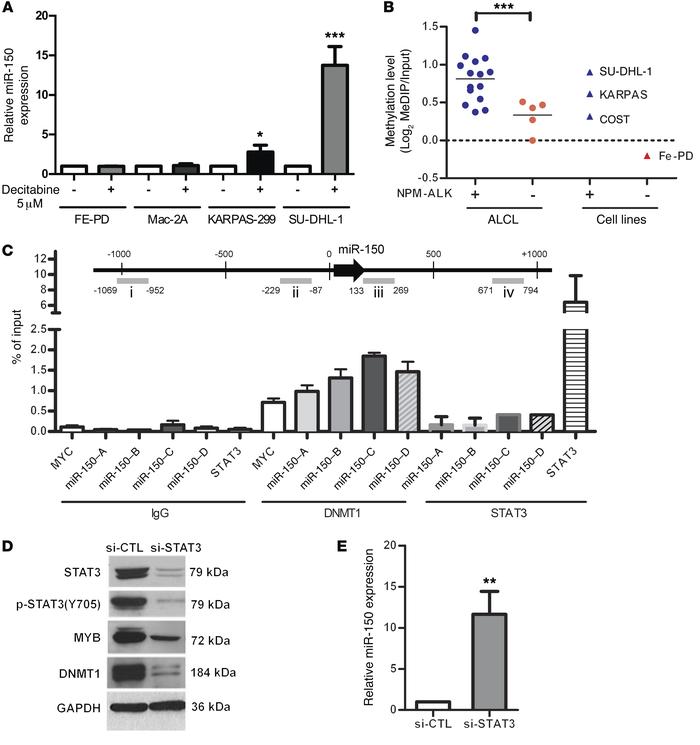 The expression of miR-150 is repressed in NPM-ALK(+) ALCL cells by DNA m...