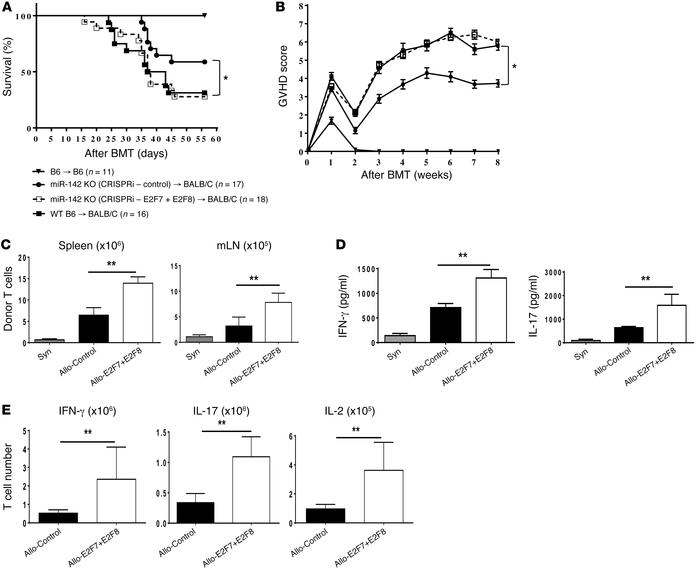 Upregulated expression of E2F7/E2F8 in miR-142 KO T cells contributes to...