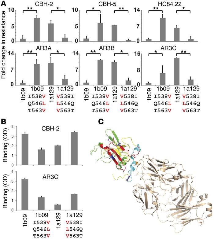 I538V/Q546L/T563V mutations in E2 confer resistance to 6 NC1 mAbs by red...