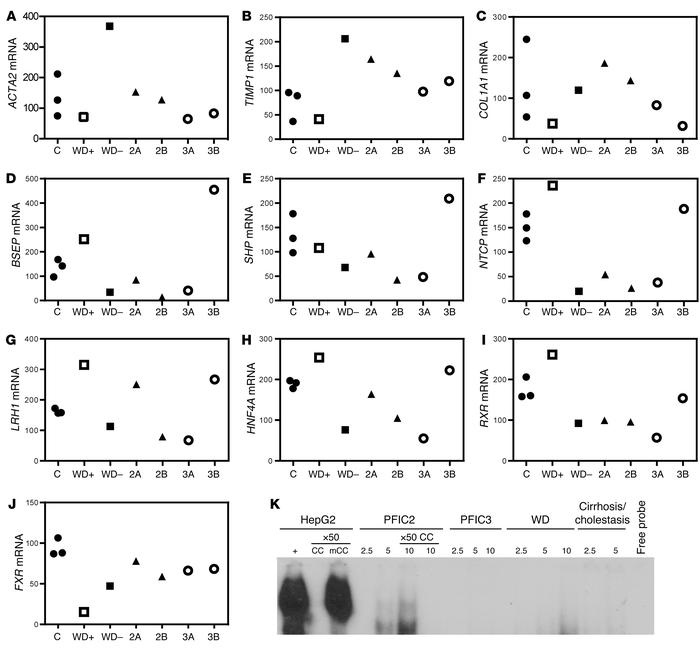 Pediatric cholestasis and copper-mediated effects on nuclear receptors.
...