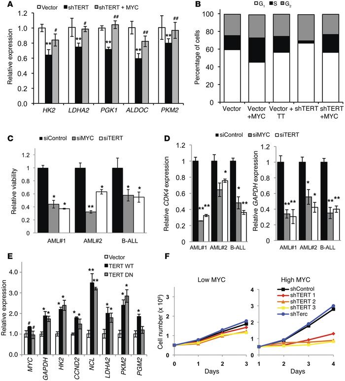 Phenotypic effects of TERT inhibition or depletion on MYC-dependent proc...