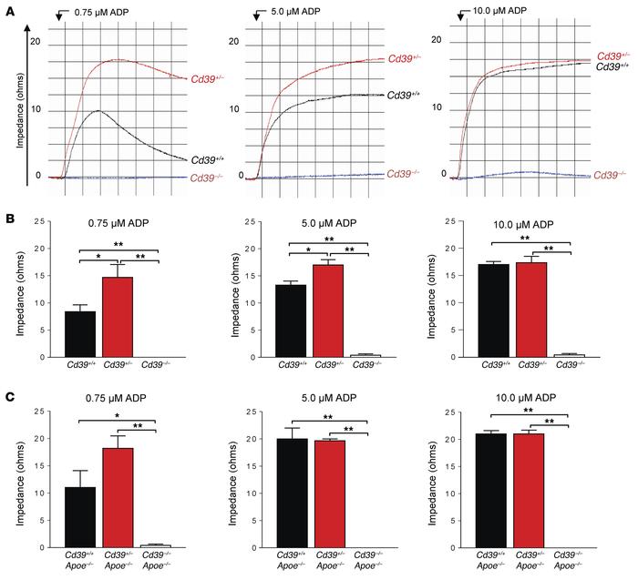 Modulation of whole blood aggregometry by CD39.
Whole blood was drawn fr...