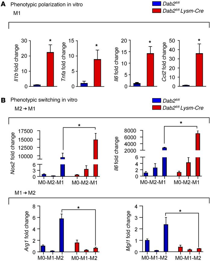 
Dab2 deficiency promotes M1 macrophage phenotypic polarization and regu...