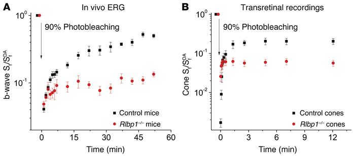 The deletion of CRALBP suppresses cone dark adaptation.
(A) Normalized c...