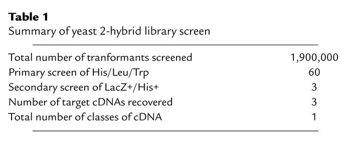 Summary of yeast 2-hybrid library screen
