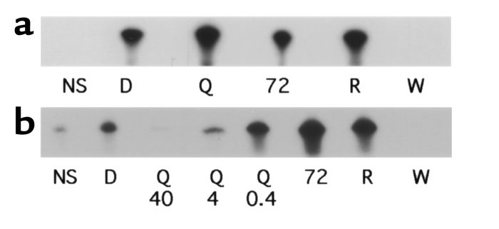 DQ 65-79 inhibits PI 3-kinase activity only when added directly to the i...