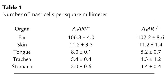 Number of mast cells per square millimeter