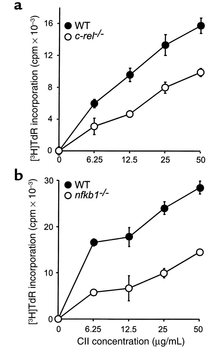 Cellular response to CII in c-rel–/– (a) and nfkb1–/– (b) mice. Single-c...