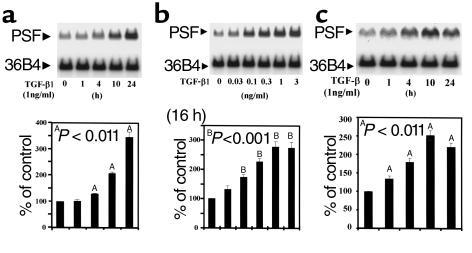 TGF-β increases PSF mRNA expression in a time- and dose-dependent manner...