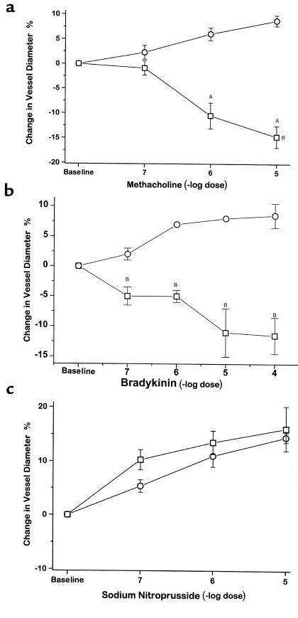 Mesenteric microvascular response to superfusion of methacholine (a), br...