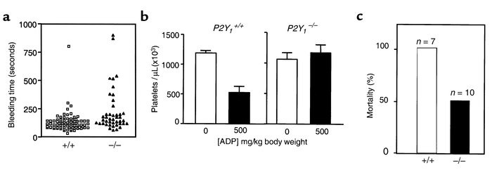 Hemostasis and thrombosis. (a) Bleeding time of P2Y1+/+ and P2Y1–/– mice...