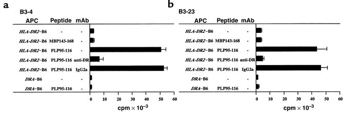 Proliferative response of TCLs B3-4 and B3-23 generated from HLA-DR2–B6 ...