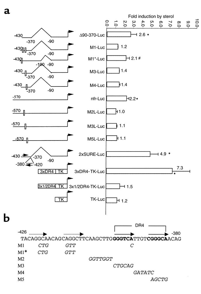 (a) Mutational analysis of CETP promoter activity in adipocytes and func...
