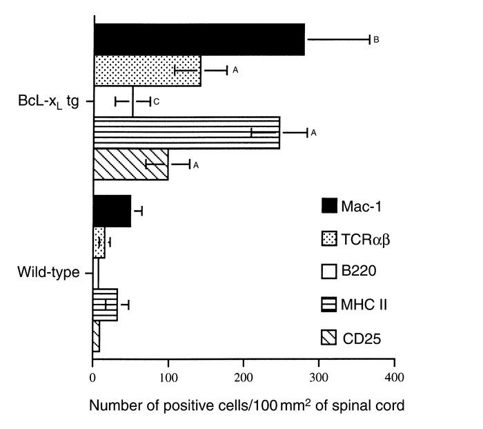 Quantitation of cellular infiltrates in the spinal cords of wild-type an...