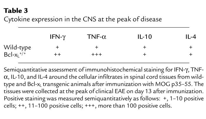 Cytokine expression in the CNS at the peak of disease