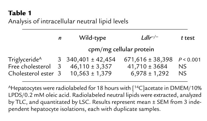 Analysis of intracellular neutral lipid levels