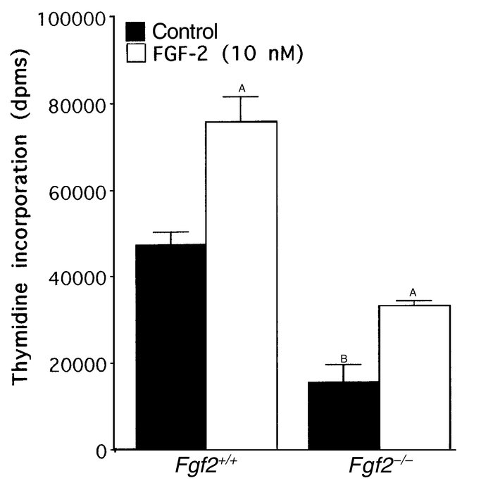 Comparison of thymidine incorporation into DNA in calvarial osteoblasts ...