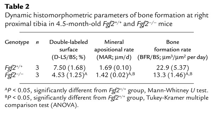 Dynamic histomorphometric parameters of bone formation at right proximal...