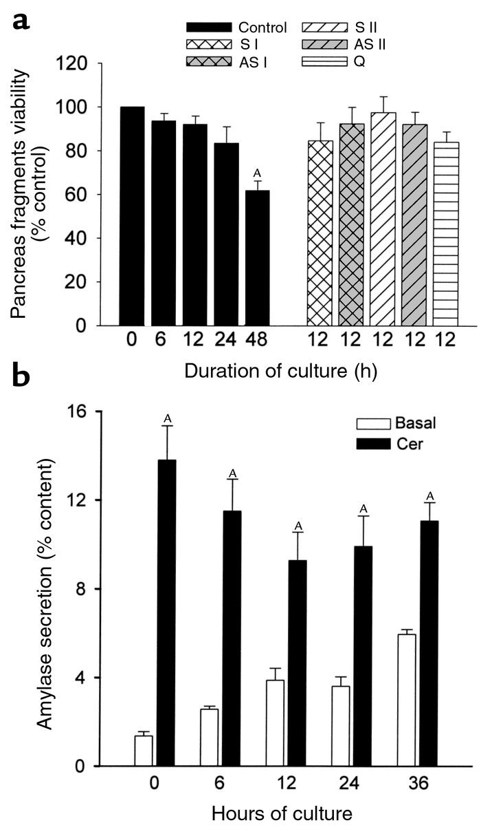 Effect of duration of culture and incubation with oligonucleotides on th...