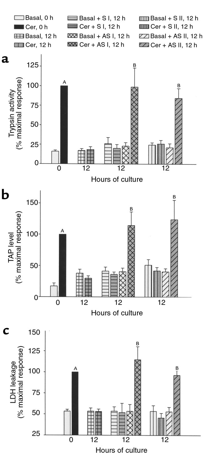 Effect of incubation of pancreas fragments with antisense/sense HSP70 ol...