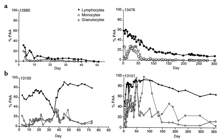 Peripheral chimerism among animals receiving one-haplotype–mismatched PB...