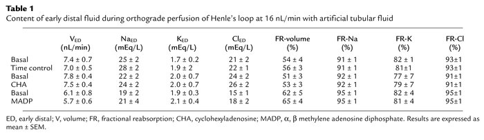 Content of early distal fluid during orthograde perfusion of Henle’s loo...