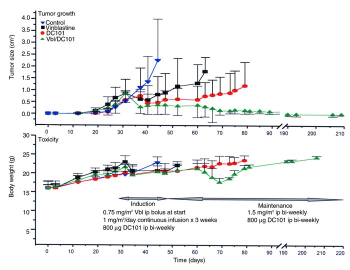 Induction of solid tumor regression by nontoxic, antiangiogenic combinat...