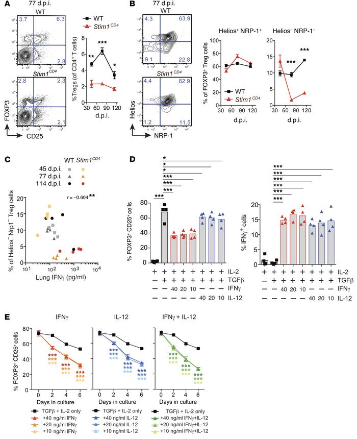 Lack of STIM1 results in reduced iTreg numbers in chronic Mtb infection....