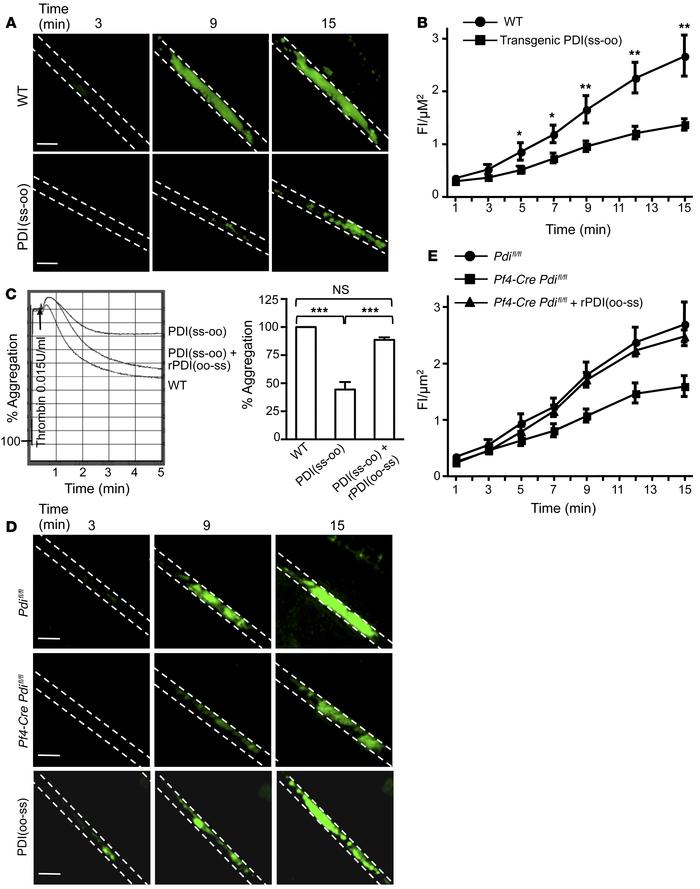 The C-terminal CGHC active site of PDI is required for platelet accumula...