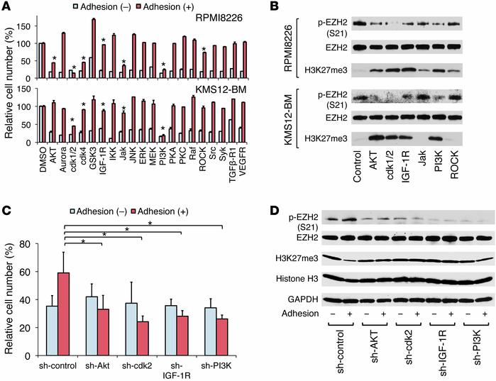 Reversal of CAM-DR by chemical and genetical inhibition of EZH2 phosphor...