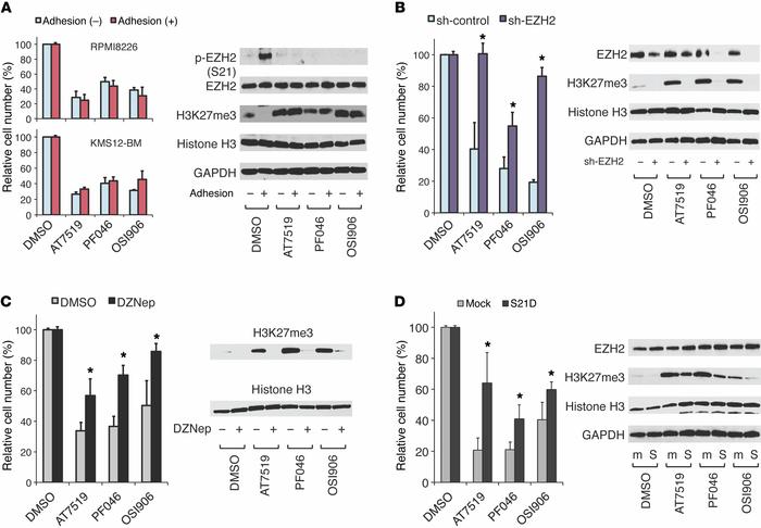 Reversal of CAM-DR by pharmacological and genetic inhibition of EZH2 pho...