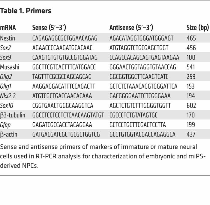 JCI - Skin-derived neural precursors competitively generate functional ...