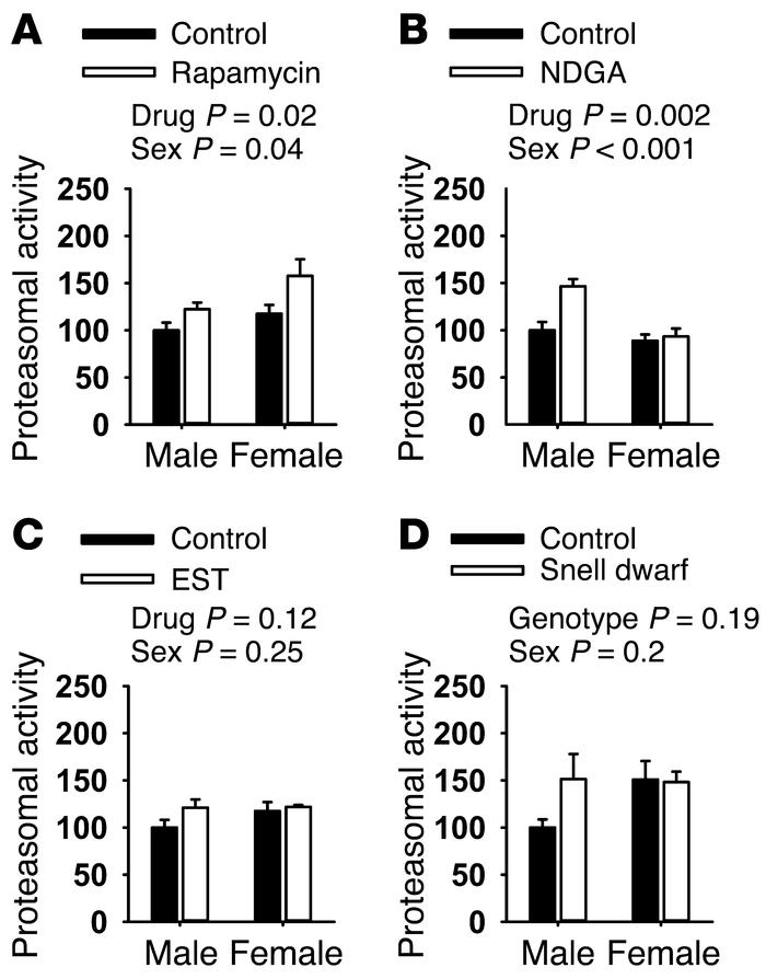 Drugs and a mutation that extend lifespan have increased proteasomal act...