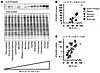 IFNGR2 protein and mRNA levels are elevated in cells from longer-lived prim