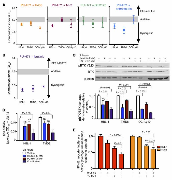 PU-H71 and ibrutinib synergize to inhibit ABC DLBCL growth through maxim...