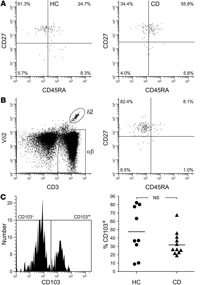 Intestinal Vδ2 T cells in CD patients express CD27 and incorporate both ...