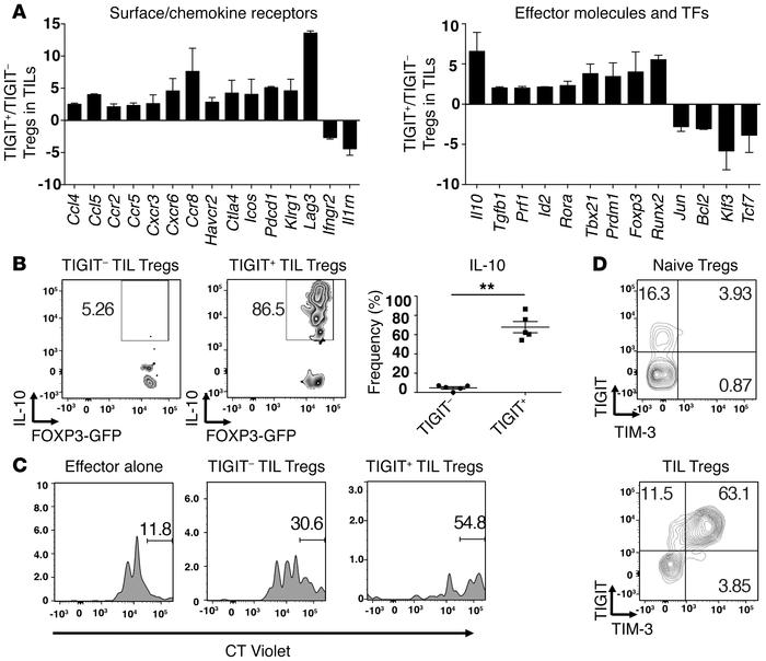 TIGIT+ Tregs in the tumor tissue exhibit a more suppressive and activate...