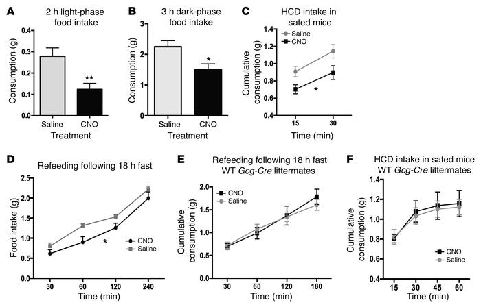 GCG neuron activation modulates food intake in both fed and fasted anima...