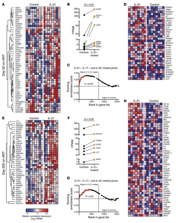 IL-21 supplementation upregulates the expression of genes regulating ant...