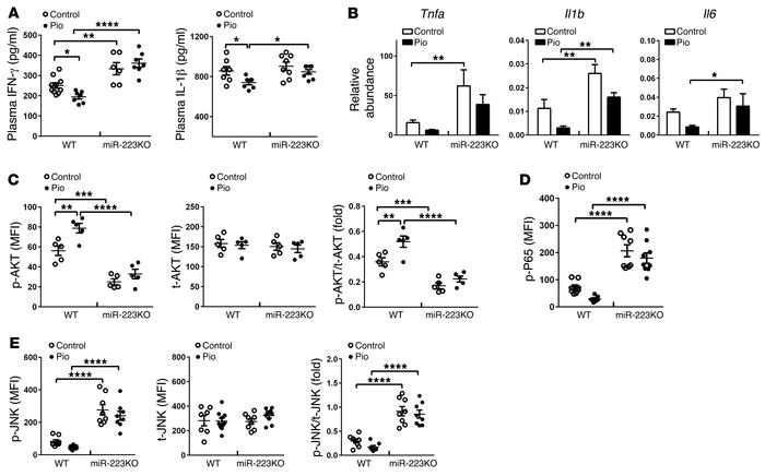 miR-223 deficiency impairs PPARγ functions in modulating adipose tissue ...