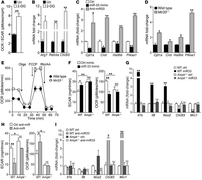 miR-33 regulates the macrophage metabolic and inflammatory phenotype via...