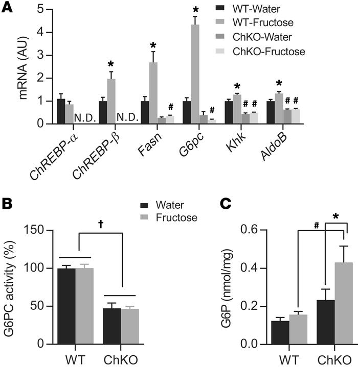ChREBP is necessary for fructose-induced hepatic gene expression.
(A) He...