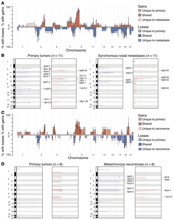 Somatic CNVs in HNSCC tumors.
(A) Overview of CNVs and (B) GISTIC signif...