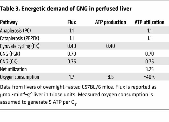 Energetic demand of GNG in perfused liver