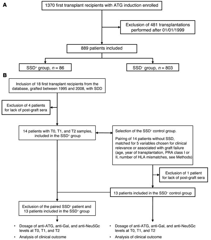 Flow chart of the study cohorts.
(A) Cohorts A and (B) B are shown, alon...