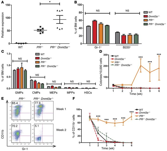 DNMT3A is required for the aberrant self-renewal ability of PML-RARA–exp...