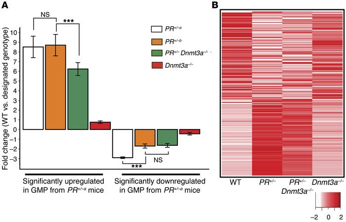 Expression analysis of previously identified PML-RARA–dysregulated genes...