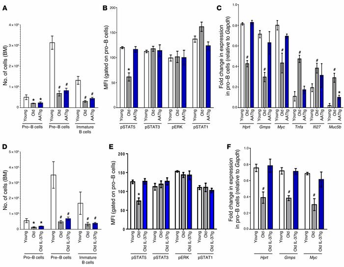 Reducing inflammation prevents declines in aging-associated B progenitor...