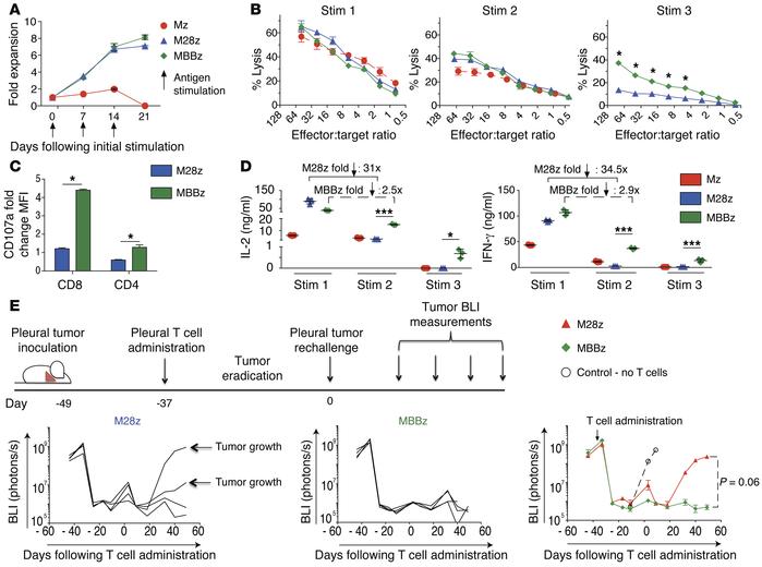 CAR T cells become exhausted upon repeated antigen stimulation in vitro,...