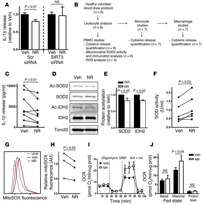 A SIRT3 agonist blunts inflammasome activation and improves mitochondria...